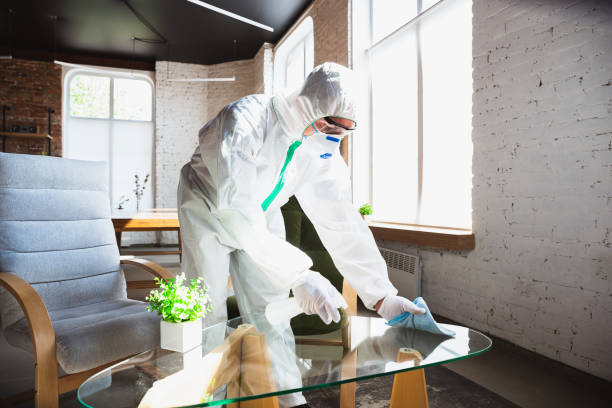 Why You Should Choose Our Mold Remediation Services in Elba, AL